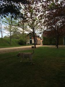 Hebergement Cottages de Chateau de Vaux : photos des chambres