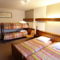 Hotel Restaurant et Spa Au Tilleul : photos des chambres