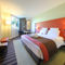 Hotel Mercure Grenoble Meylan : photos des chambres