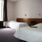 Hotel Restaurant Le Dauphin : photos des chambres