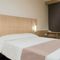 Hotel ibis Le Puy-en-Velay Centre : photos des chambres