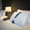 Hotel Holiday Inn Express Lille Centre : photos des chambres