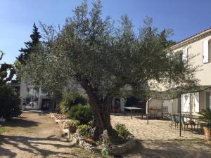 Hebergement Holiday home Chemin du Coquillon - 2 : photos des chambres