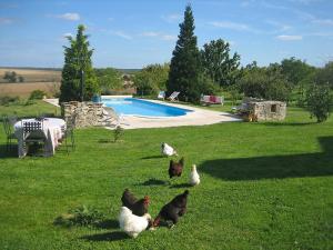 Hebergement Holiday Home Les Glycines : photos des chambres