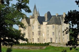 Chambres d'hotes/B&B Chateau de Bourgon : photos des chambres