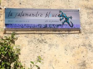 Hebergement La Salamandre Bleue : photos des chambres