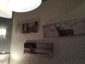 Hebergement Chalet La Serre - 2 : photos des chambres
