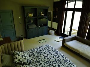 Chambres d'hotes/B&B Villa de La Haute Foret : photos des chambres