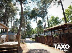 Hebergement Camping Taxo Les Pins : photos des chambres