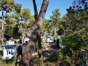 Hebergement Camping La Siesta : photos des chambres