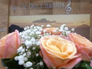 Hotel La Cle Des Champs : photos des chambres