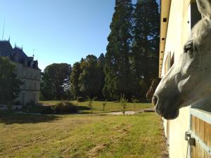 Hebergement Chateau de St Alyre : photos des chambres