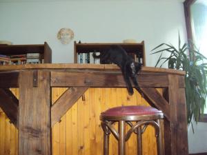 Chambres d'hotes/B&B El gato negro : photos des chambres