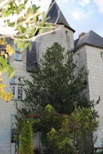 Chambres d'hotes/B&B Chambres d'Hotes Chateau de la Motte : photos des chambres