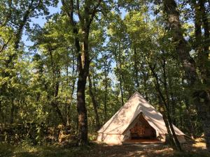 Hebergement Wild Oak Wood : photos des chambres