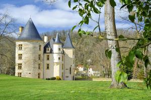 Hebergement Lestelle-de-Saint-Martory Chateau Sleeps 20 Pool : photos des chambres