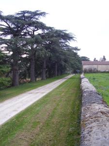 Hebergement Villa Chateau de Boisverdun : photos des chambres