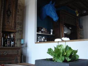 Chambres d'hotes/B&B Au cheval bleu : photos des chambres