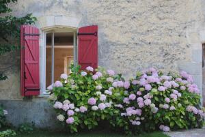 Chambres d'hotes/B&B Chambres d'Hote Rouge Bordeaux : photos des chambres