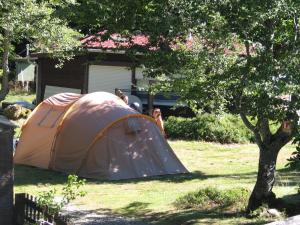 Hebergement Camping Auberge les Myrtilles : photos des chambres