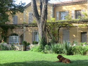 Hebergement Villa des Figuiers : photos des chambres
