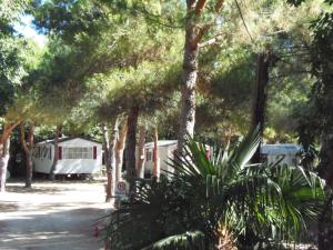 Hebergement Camping le Rancho : photos des chambres