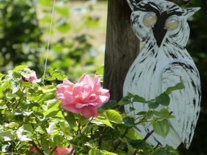 Chambres d'hotes/B&B Le Jardin de Marie-Jeanne : photos des chambres