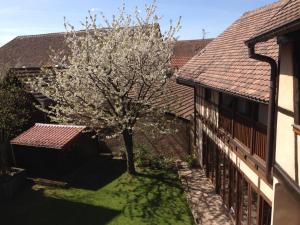 Chambres d'hotes/B&B Maison d'hotes La Rose d'Alsace : photos des chambres
