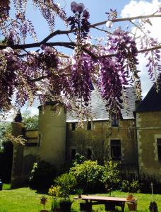 Chambres d'hotes/B&B Chateau St.Gaultier : photos des chambres