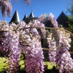 Chambres d'hotes/B&B Chateau St.Gaultier : photos des chambres