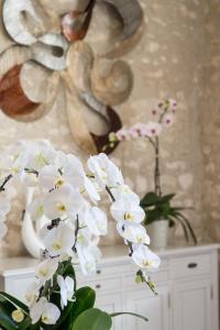 Chambres d'hotes/B&B Bed & Breakfast Les Orchidees Avec Piscine & Spa : photos des chambres