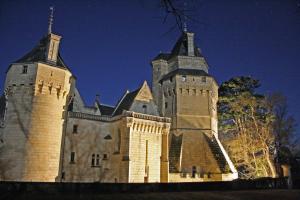 Chambres d'hotes/B&B Demeure Chateau de Ternay : photos des chambres