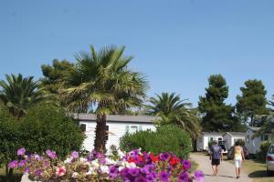 Hebergement Camping Le Pearl **** : photos des chambres
