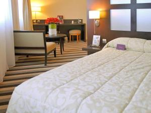 Hotel Mercure Rouen Champ de Mars : photos des chambres