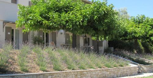 Maison d'hôtes La Sidoine au Mont-Ventoux : Chambres d'hotes/B&B proche de Modène