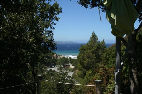 Les Gîtes du Cap Corse : Appartement proche de Farinole