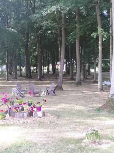 Camping Le Bois Fleuri : Hebergement proche de Montigny-le-Gannelon