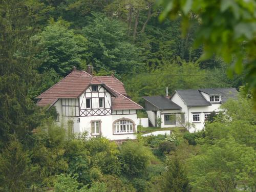 La Villa des Oiseaux - La Petite Pierre : Chambres d'hotes/B&B proche de Volksberg