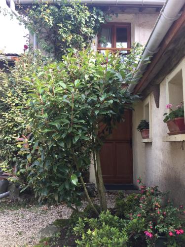 Petite Maison Briarde : Hebergement proche de Verneuil-l'Étang