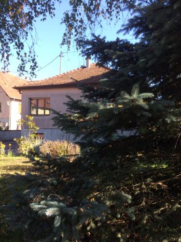 la maison de Lucie : Hebergement proche de Climbach