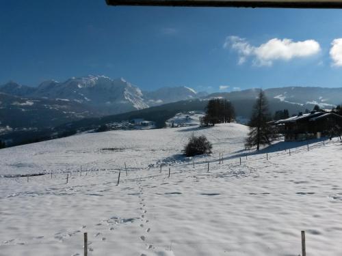 Rez de chaussée très calme vue Mont-Blanc : Appartement proche de Sallanches