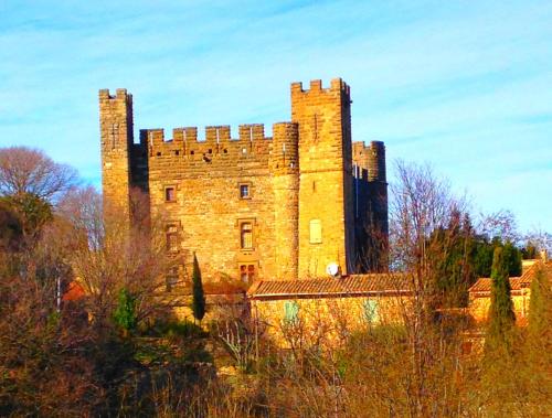 Chateau de Castelnau Valence : Hebergement proche de Saint-Maurice-de-Cazevieille