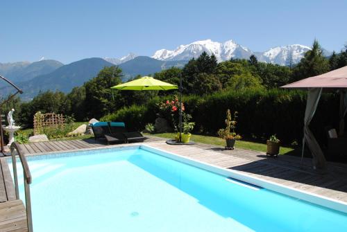 Studio + piscine face au Mt Blanc : Appartement proche de Domancy