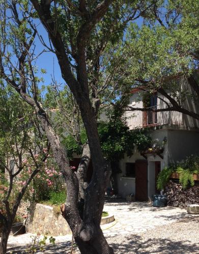Maison Campredon : Hebergement proche de Prats-de-Sournia