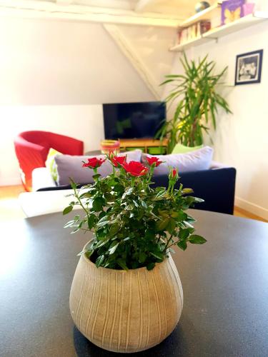 La Rose du Vignoble : Appartement proche de Heiligenstein