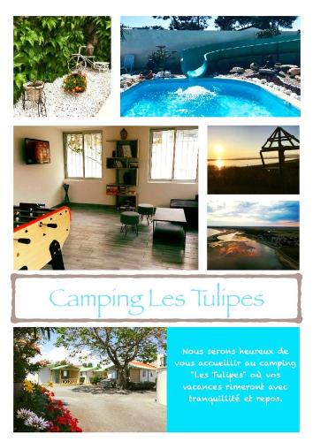 Camping les Tulipes : Hebergement proche de L'Aiguillon-sur-Mer