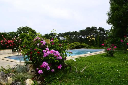 Maison de vacances avec piscine : Hebergement proche de Saint-Martin-Curton