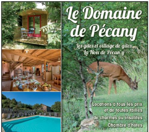 Le Domaine De Pecany : Hebergement proche de Saint-Pardoux-et-Vielvic