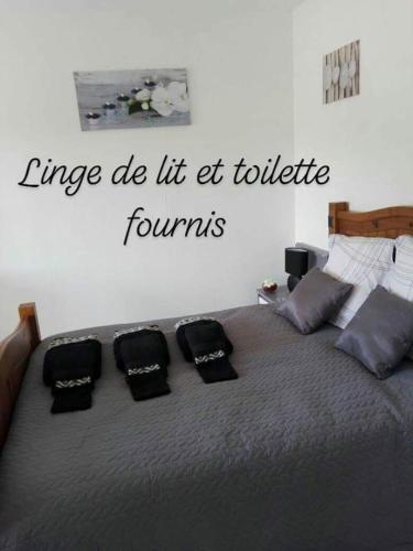 Residence de bourgogne : Appartement proche de Villeneuve-sur-Yonne