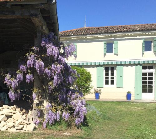 Le Petit Saule : Hebergement proche de Saint-Fort-sur-Gironde